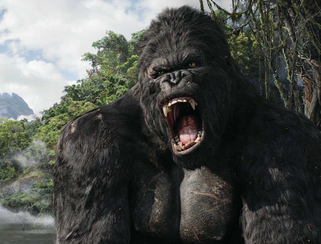 LA PETITE HISTOIRE | King Kong a-t-il existé ? Qui a inspiré ...